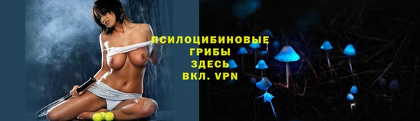 гашик Алзамай